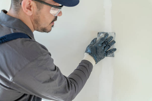 Best Wallpaper Removal and Painting  in Norwalk, OH